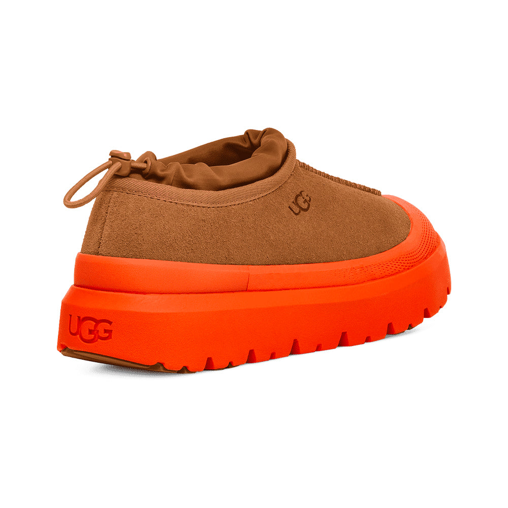 M TASMAN WEATHER HYBRID