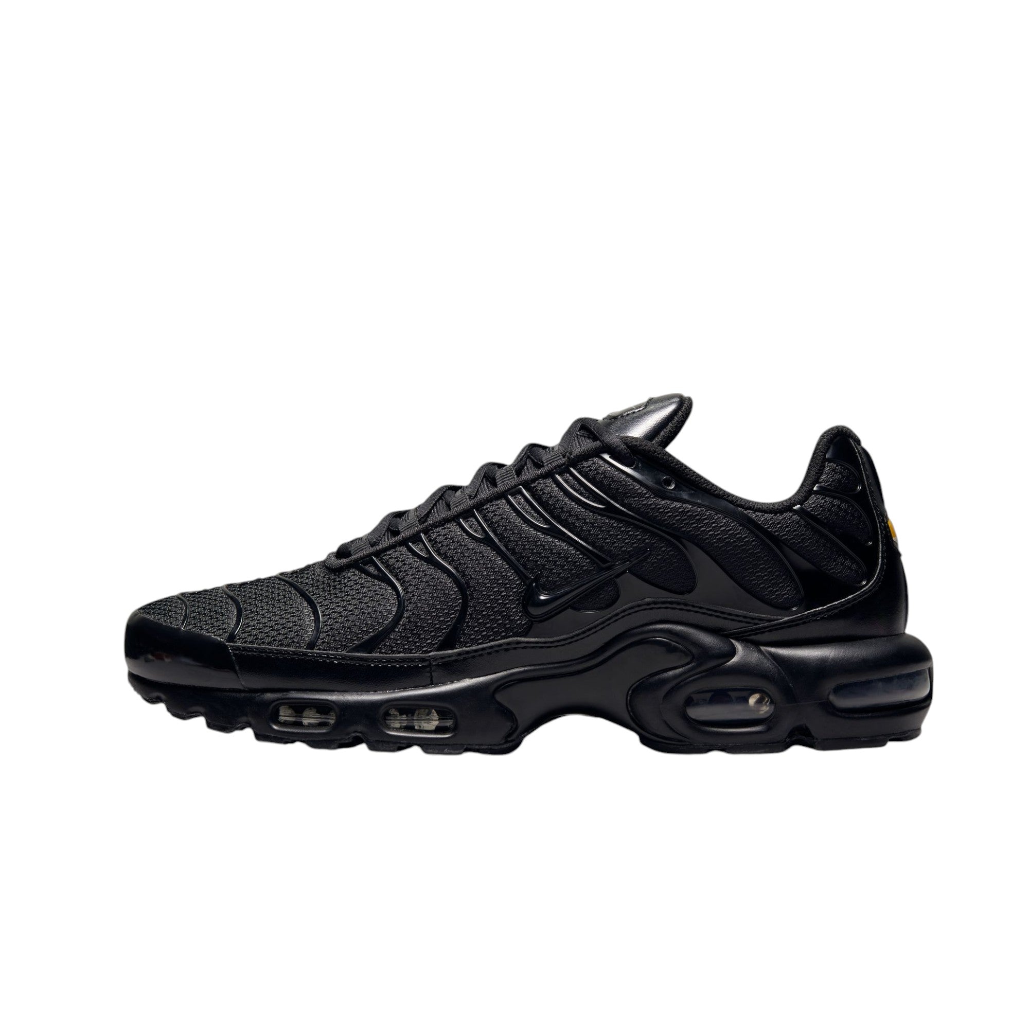 Air Max Plus Sneakers Black