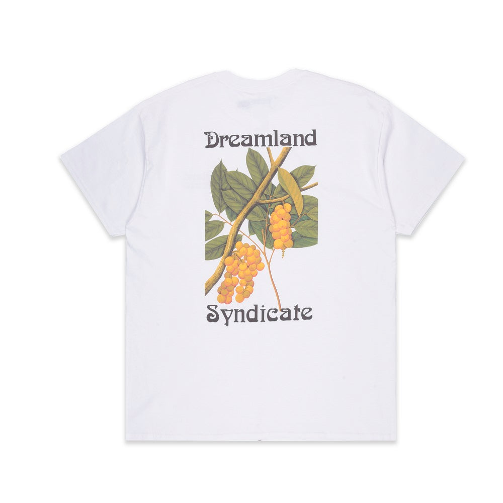 Fruit Tshirt
