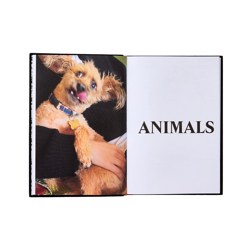 Terms Of Delivery Dap Palace Product Descriptions