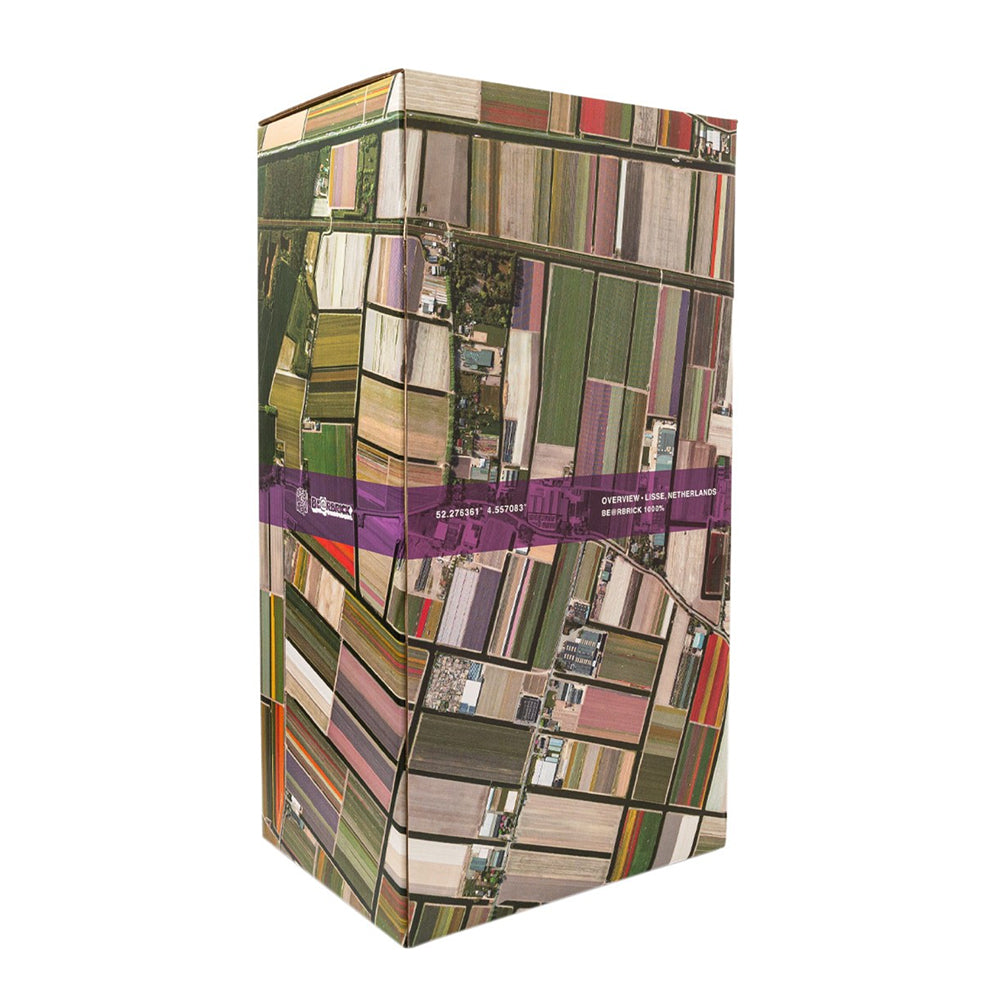 Bearbrick 1000% Benjamin Grant Overview Lisse