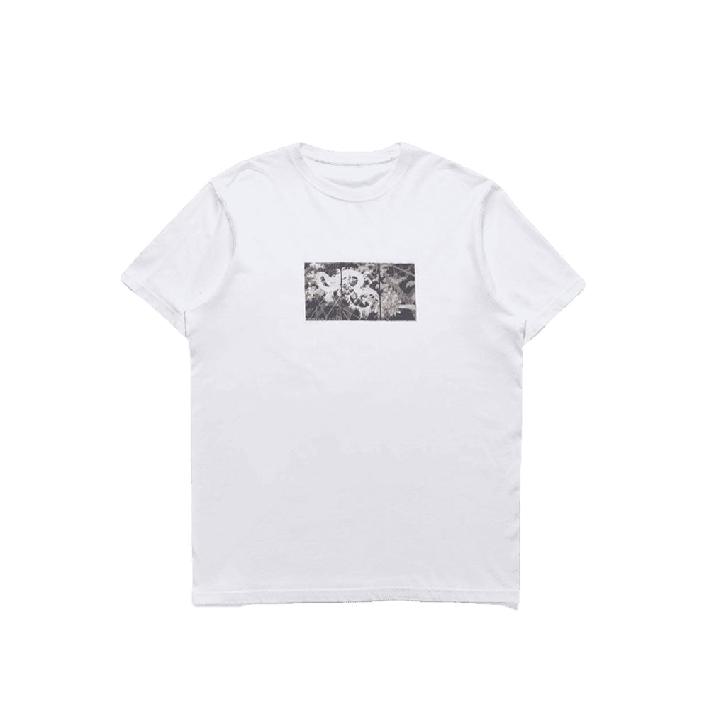 Triptych Water Dragon Tshirt Organic Cotton Jerse White