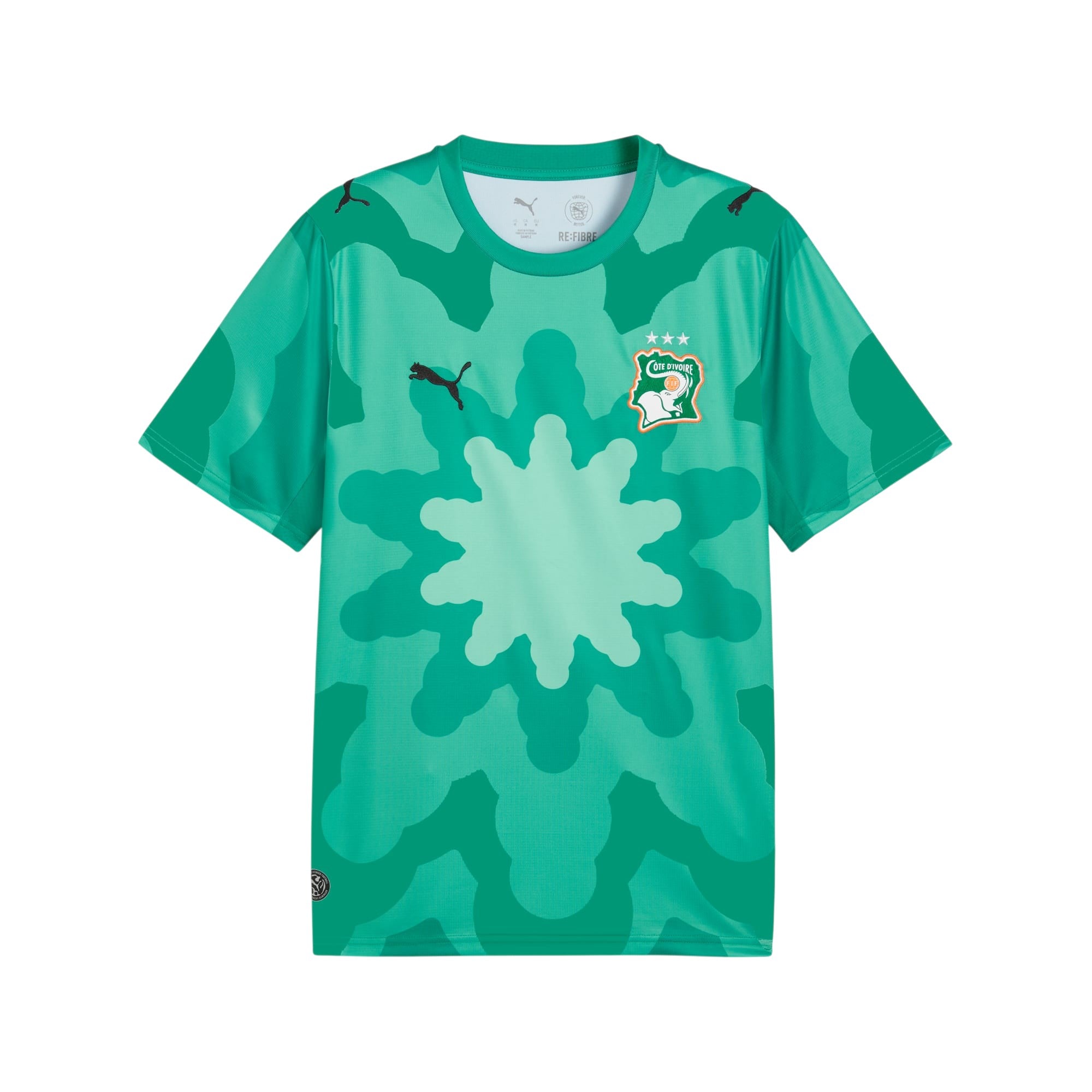 PUMA X COSTA D'AVORIO X SALEHE BEMBURY Replica Match Jersey Goalkeeper Green