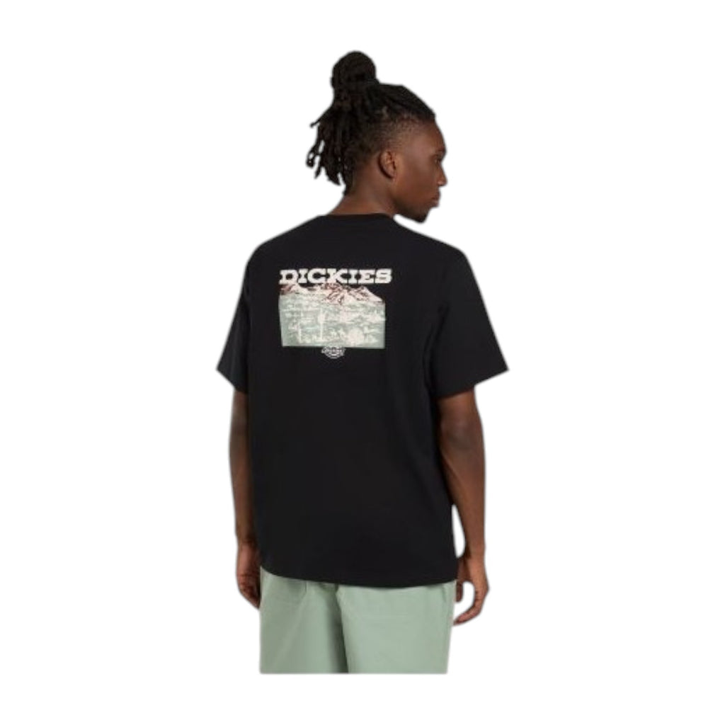 andascape Ss Tshirt B ack