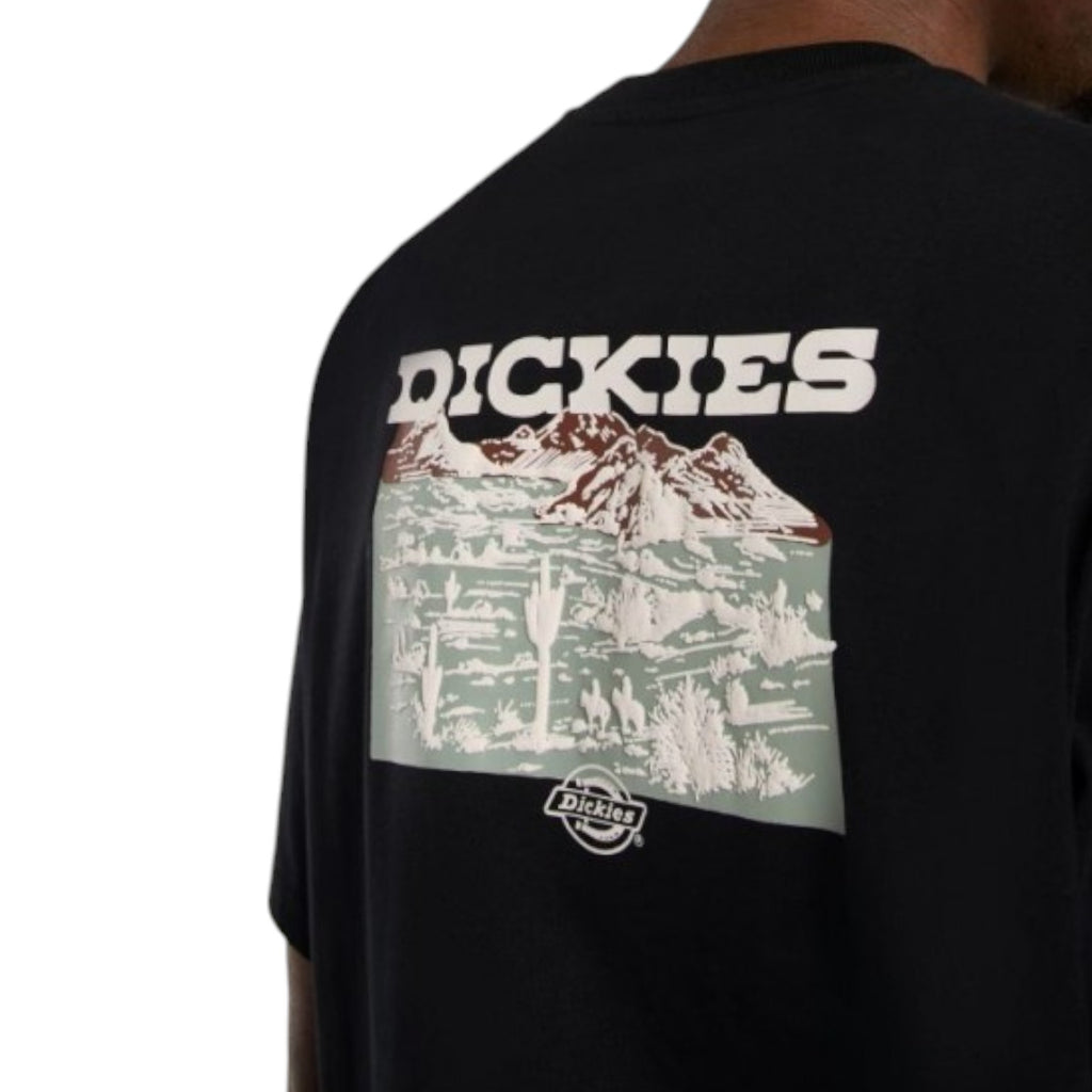 andascape Ss Tshirt B ack