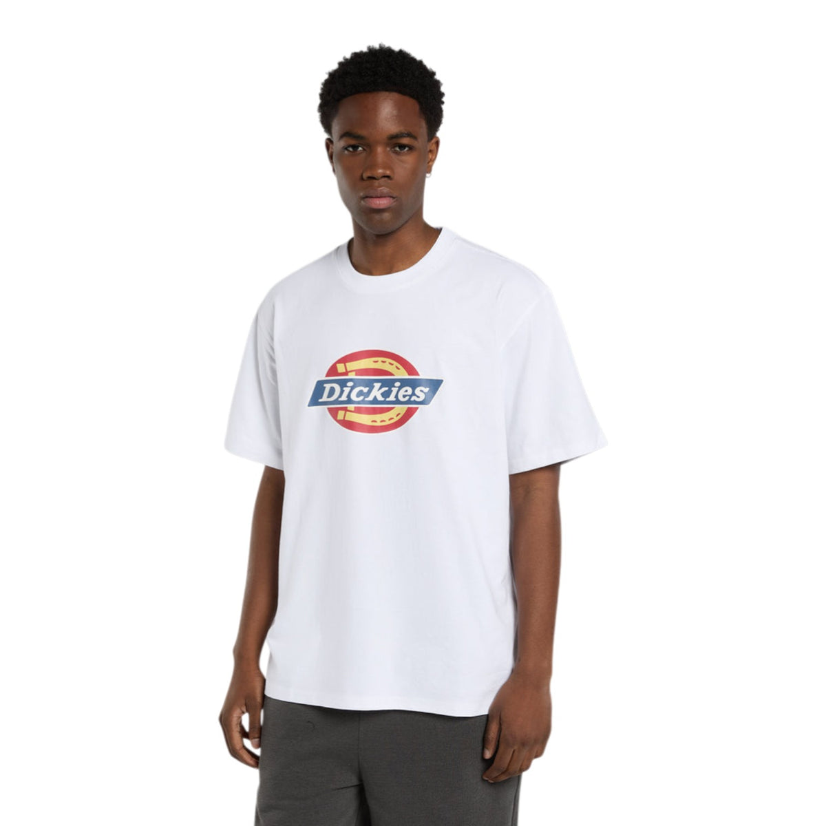 DICKIES ICON SS TEE WHITE