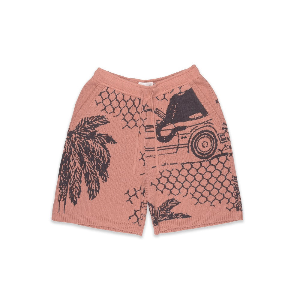 Jung e  Shorts