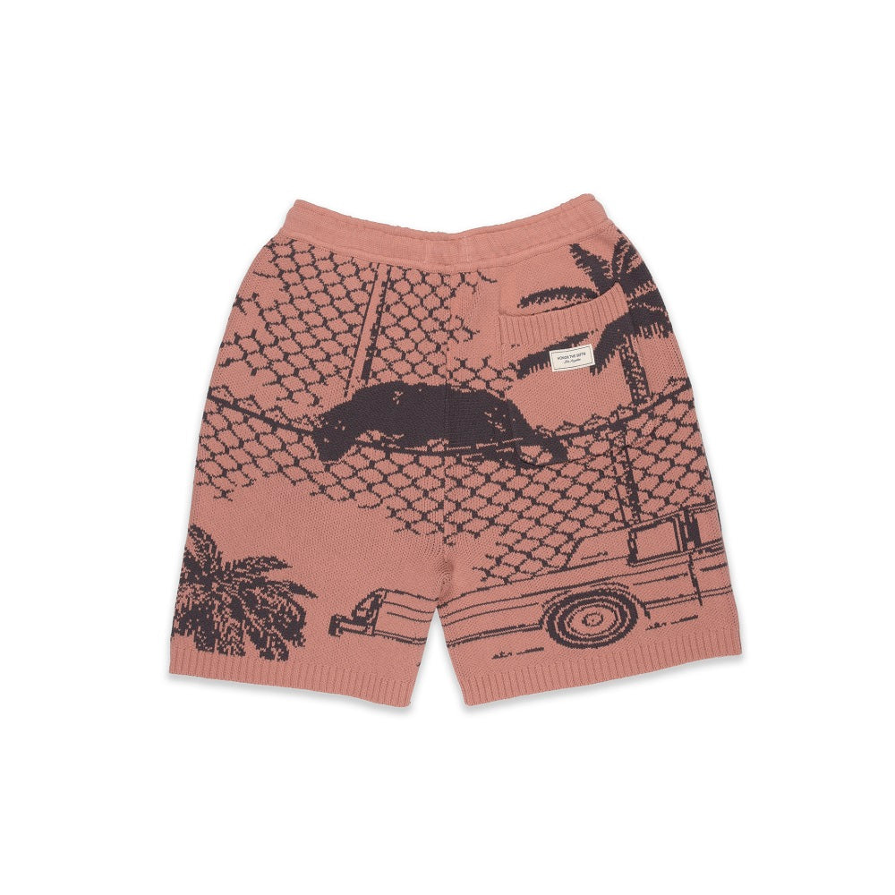 Jung e  Shorts