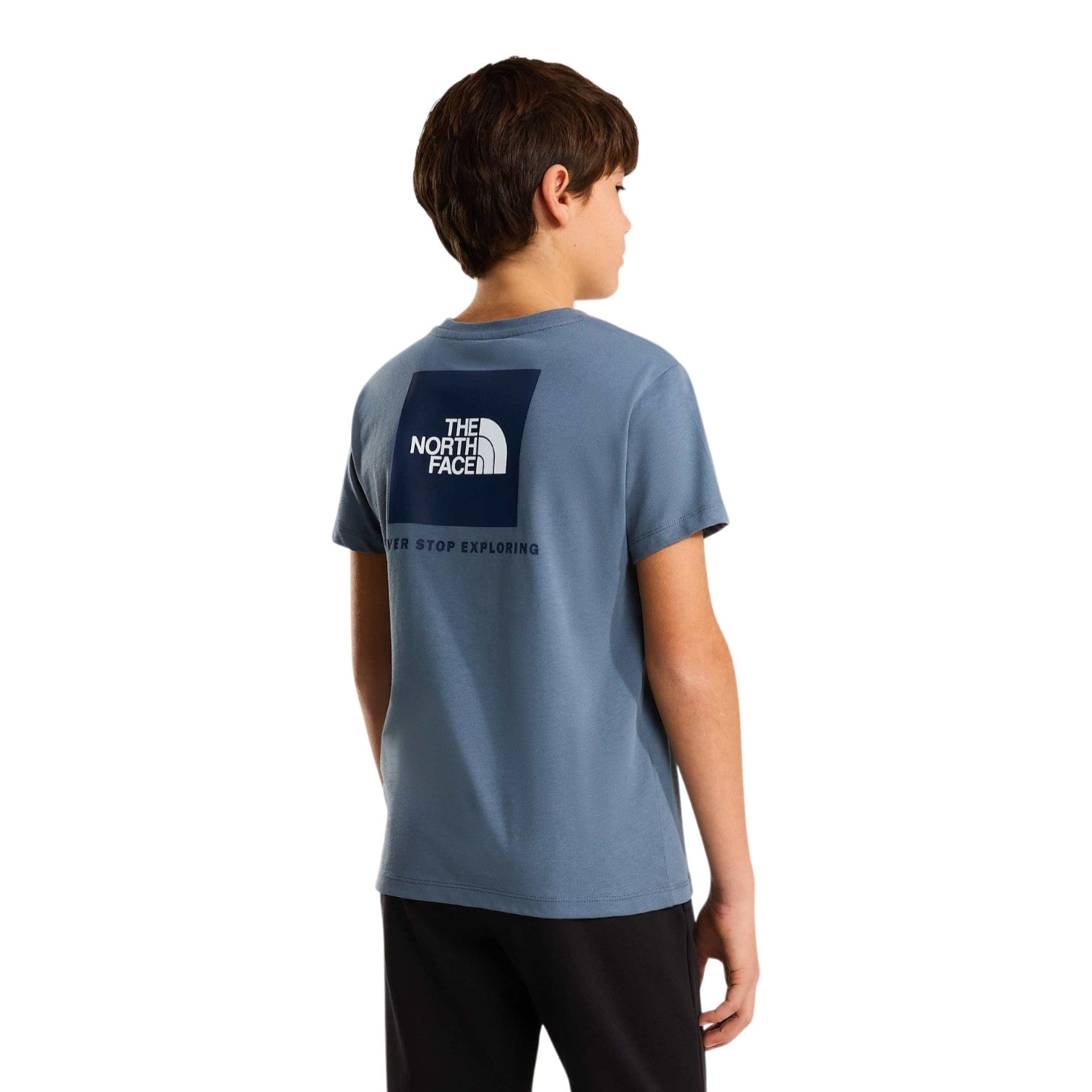 Box Nse Regular Ss T-Shirt Grey Kids