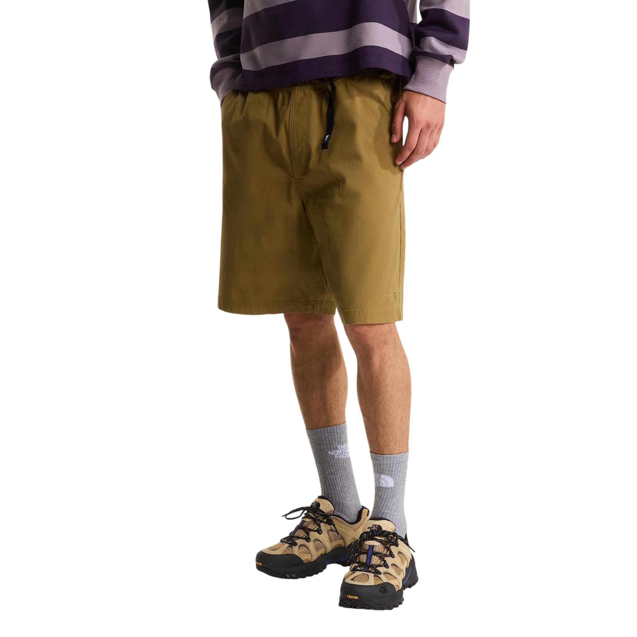 Baggy Beta Shorts Cedar