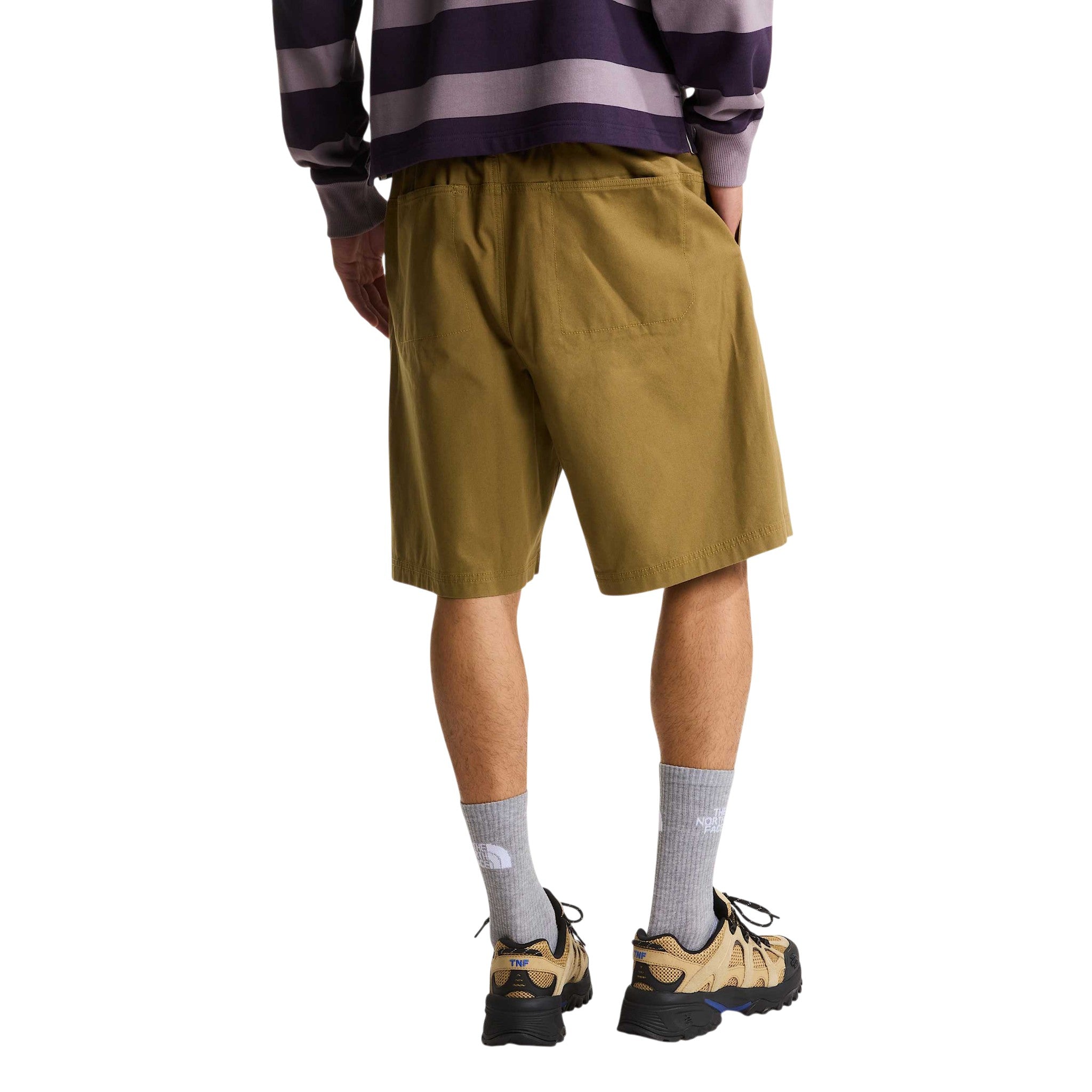 Baggy Beta Shorts Cedar