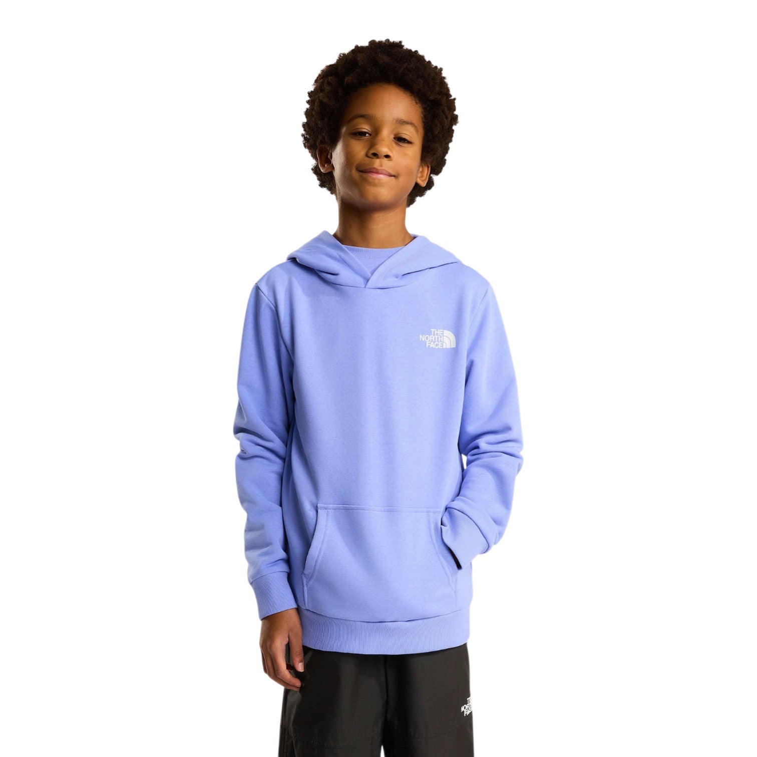 The North Face Simple Dome Light Reg Hoodie Light Blue