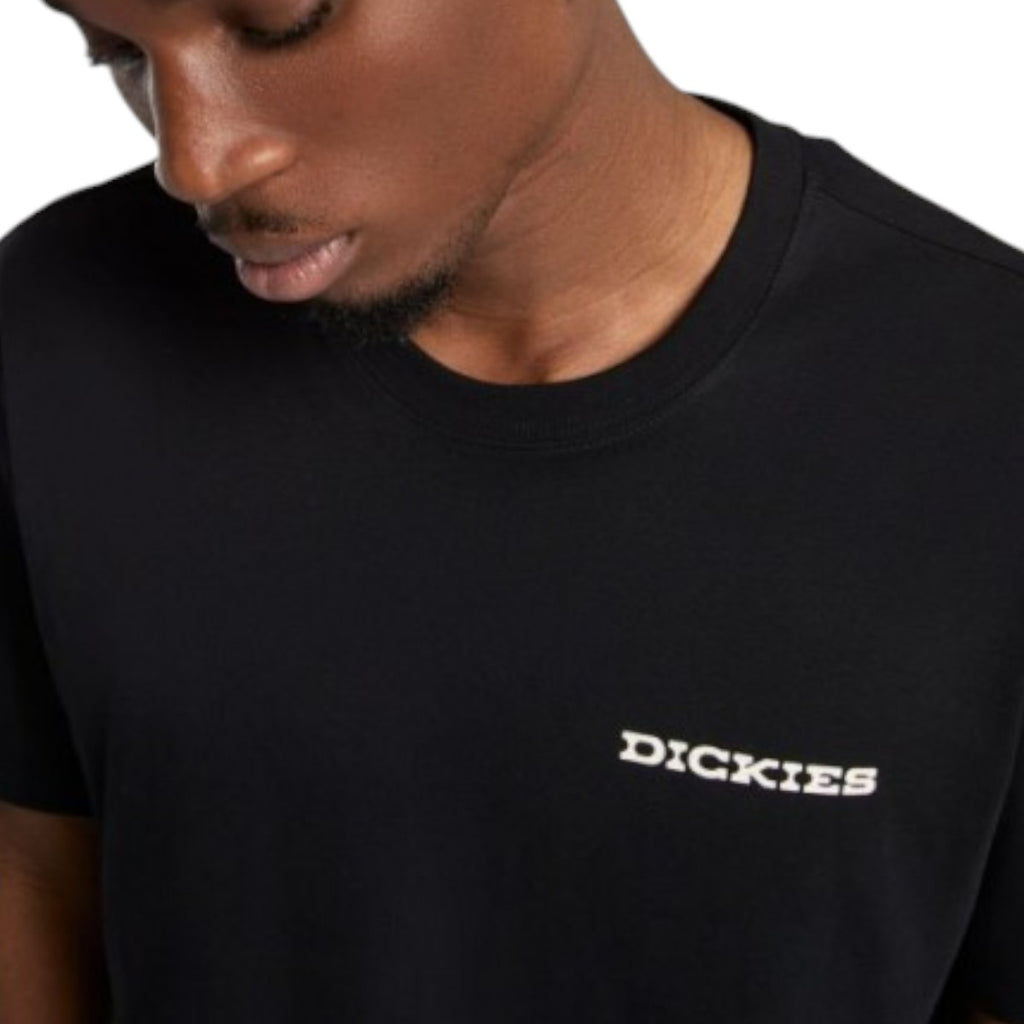 andascape Ss Tshirt B ack