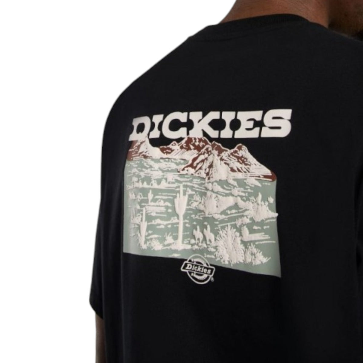 andascape Ss Tshirt B ack