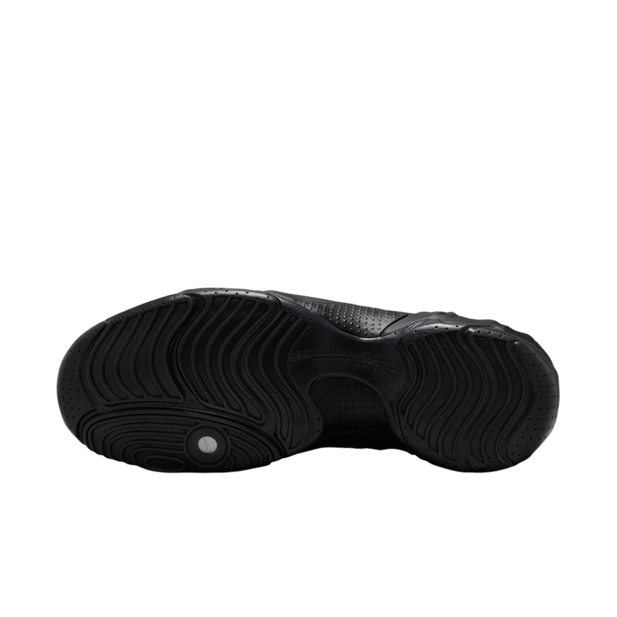 Air Flightposite Triple Black