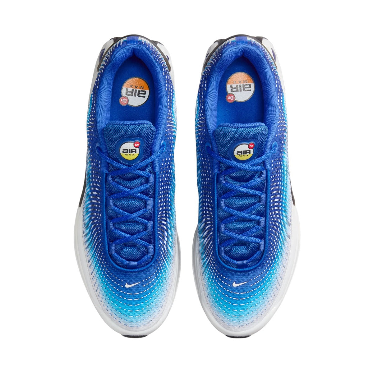 Air Max Dn Blue Fury