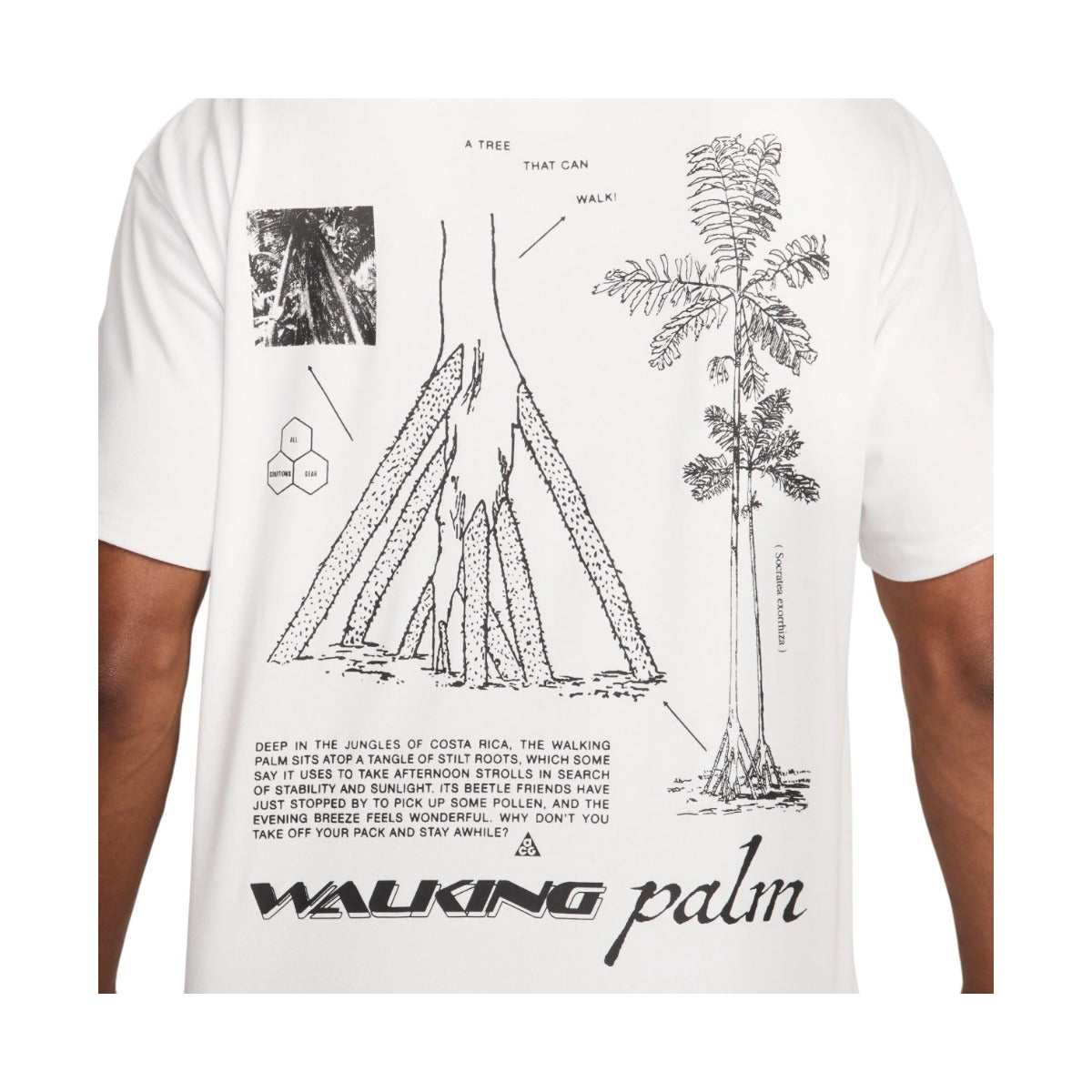 Acg Wa king Tree Drifit Tshirt